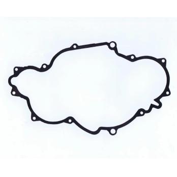 GASKET GENERATORCOVER 61230040100