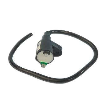 Катушка зажигания scooter Peugeot Ludix