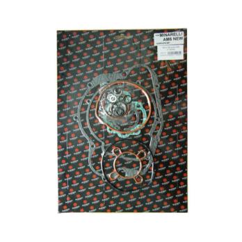 Набор прокладок на мотор Minareli AM6 > 06