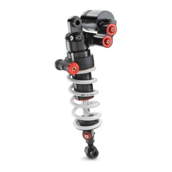 Federbein BMW S1000RR 15060T11SET