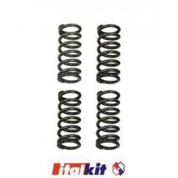 Пружины сцепления усиленные Minarelli AM6