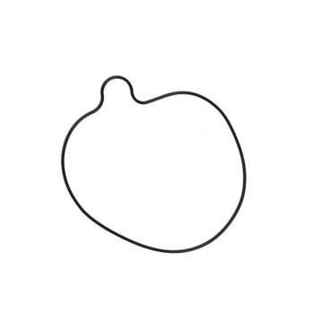 Кольцо уплотнительное крышки сцепления Daytona Anima 150/190