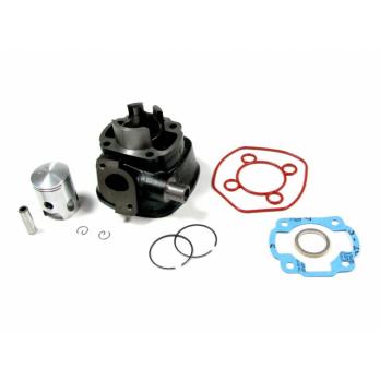 ЦПГ 50сс 10 палец  Minarelli Horizontal H2O Чугун