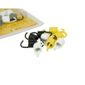 Пружинки сцепления Malossi Racing