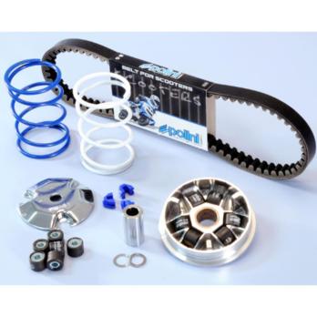 Вариатор Speed Control Peugeot