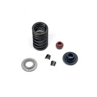 Комплект пружины клапана KTM 350SX-F 11-12