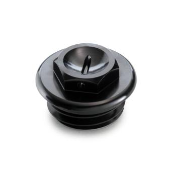 Oil plug 22130920044C1