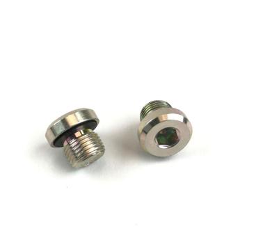 HS cylinder-head screw R1/8 l8 50180095