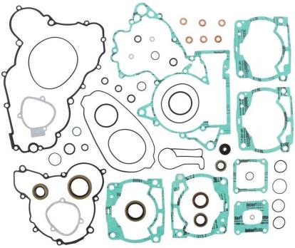 Прокладки полный комплект с сальниками Husqvarna TC250/TE250/TE300 17-19 / KTM 250SX/EXC250/EXC300 1