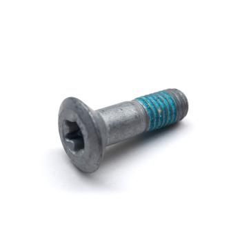 Болт крепления ведомой звезды / болт кик-стартера M8x26 Torx Beta RR, Xtrainer